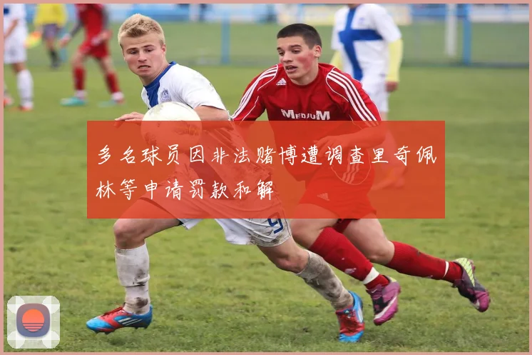 多名球员因非法赌博遭调查里奇佩林等申请罚款和解