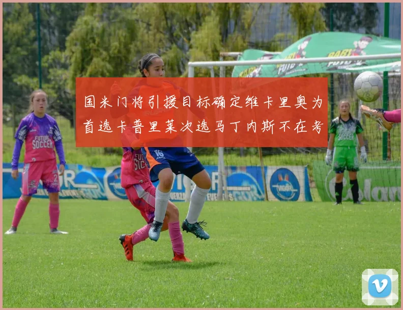 国米门将引援目标确定维卡里奥为首选卡普里莱次选马丁内斯不在考虑之中