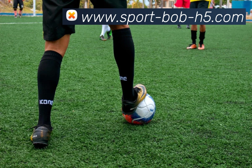 BOB体育APP 高清赛事图